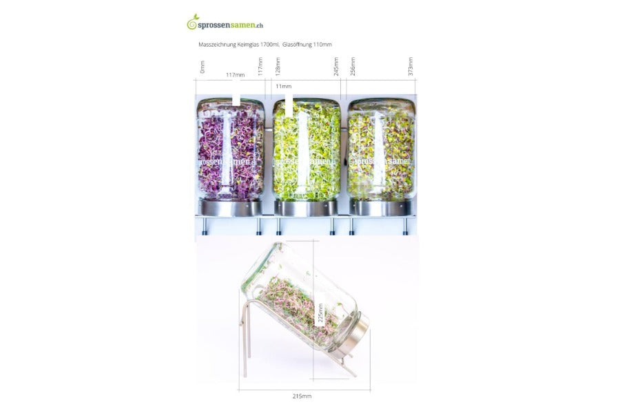 Geschenk-Set mit Glas 1700ml