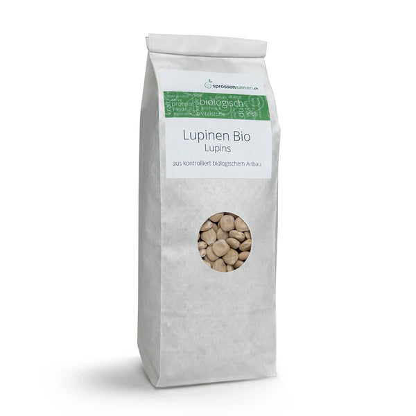 Süsslupinen Bio Sprossensamen 500g