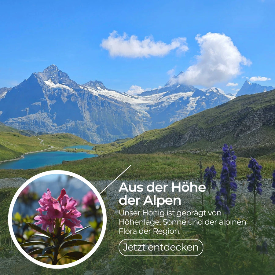 Schweizer Alpenhonig in Rohhonig-Qualität 500g