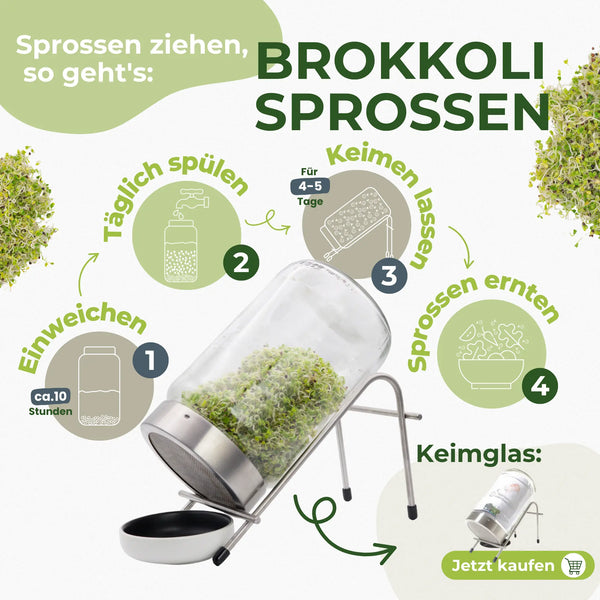 Brokkoli Sprossen Bio 250g