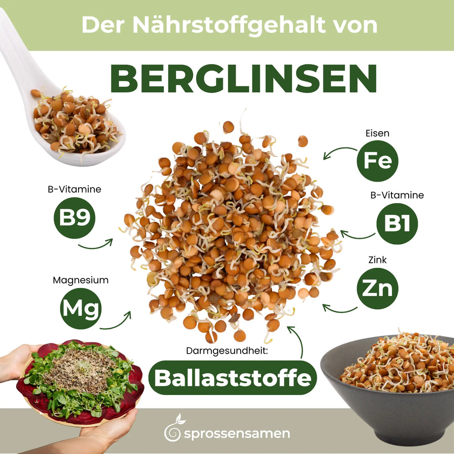 Graines germées de lentilles de montagne biologiques 500 g