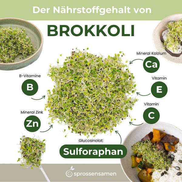 Germes de brocoli bio 250 g