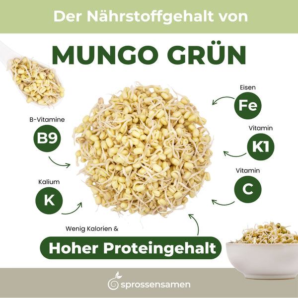 Mungbohnen grün Bio Samensprossen 500g