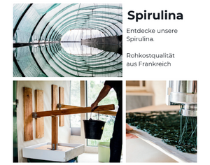 SpirulinaFlyer