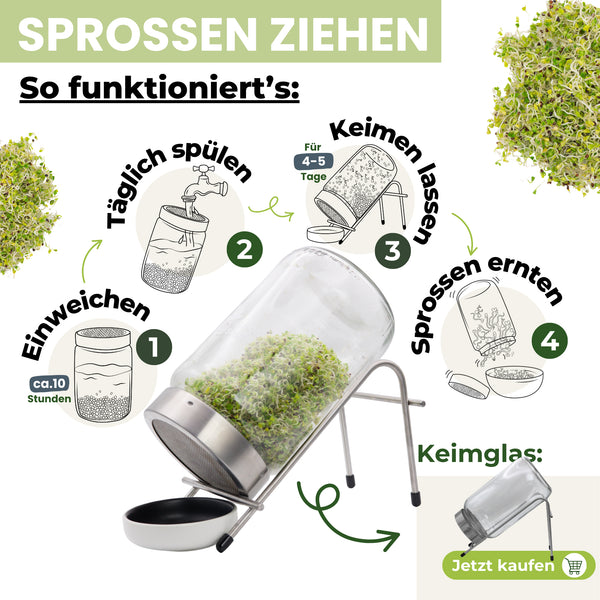 Pack de démarrage avec système