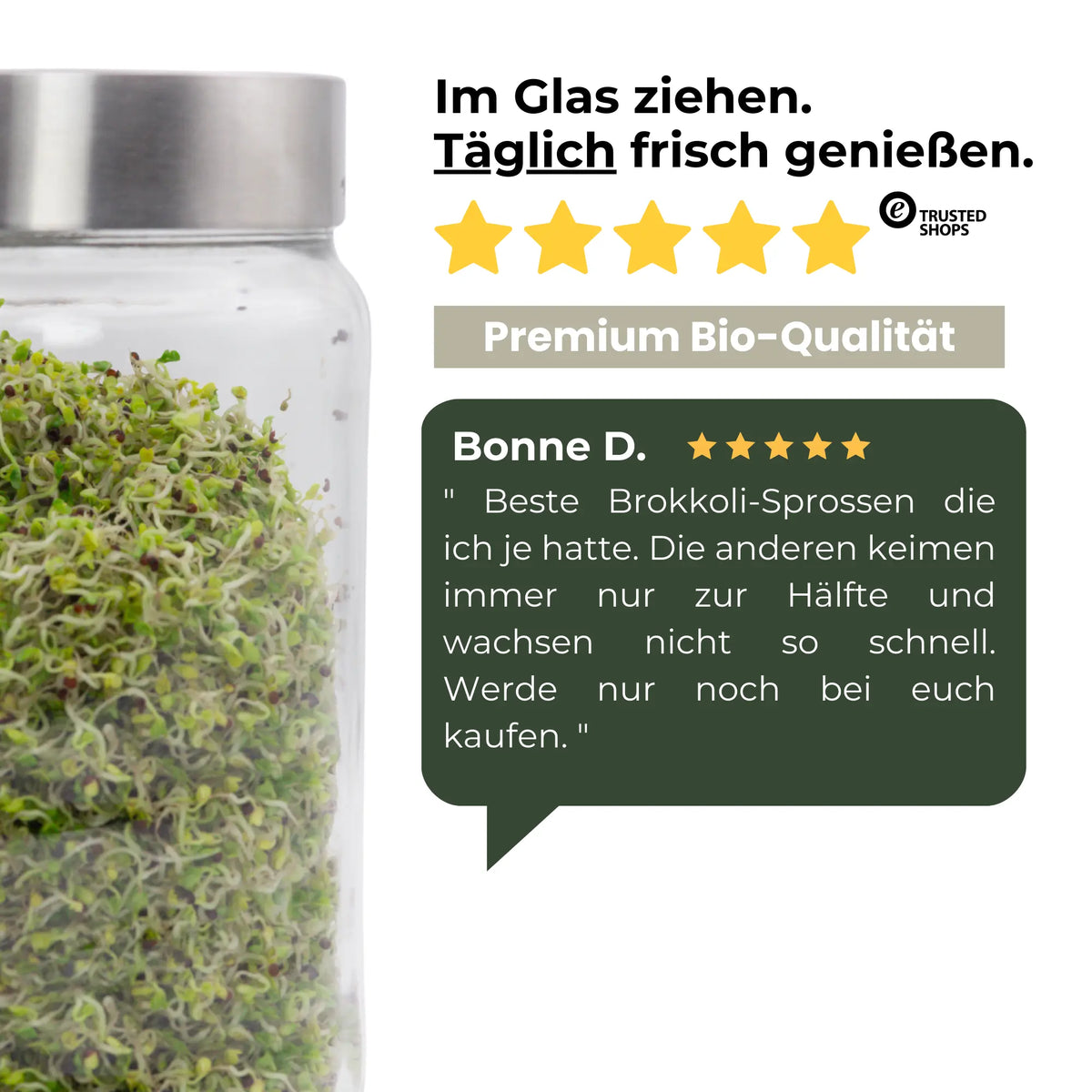 Brokkoli Sprossensamen & Microgreens – Bio Sprossen selber ziehen –  sprossensamen