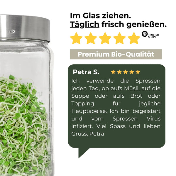 Rettich grün Bio Sprossensamen 250g