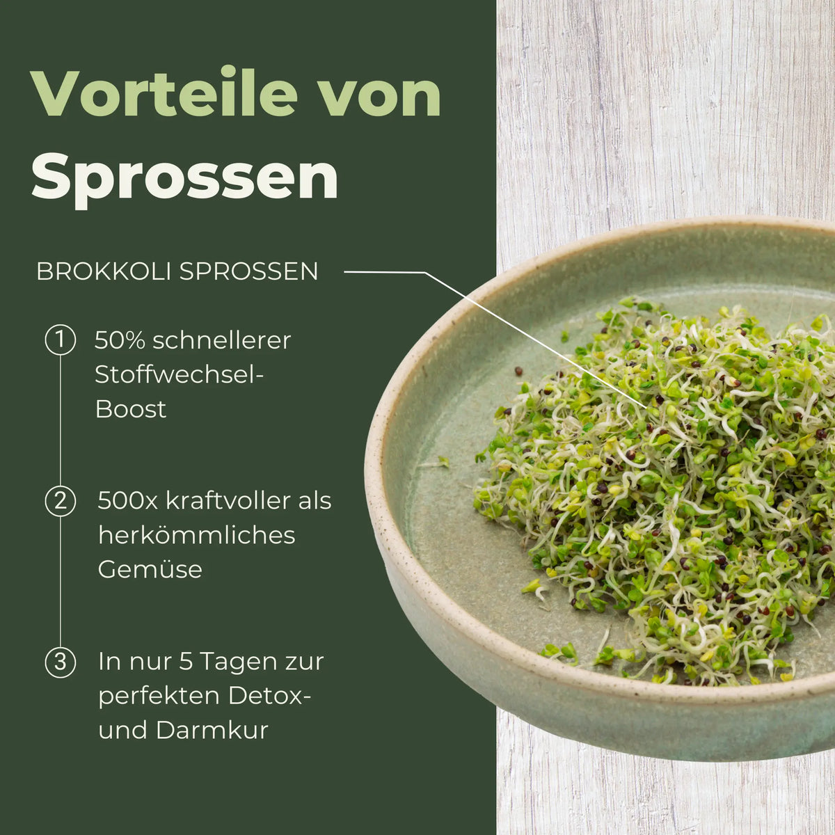 Brokkoli Sprossensamen & Microgreens – Bio Sprossen selber ziehen –  sprossensamen