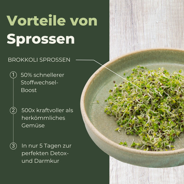 Germes de brocoli bio 250 g