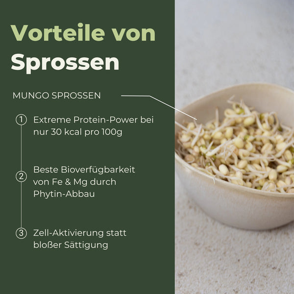 Mungbohnen grün Bio Samensprossen 500g