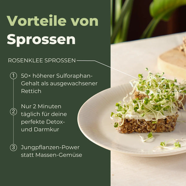 Rettich grün Bio Sprossensamen 250g