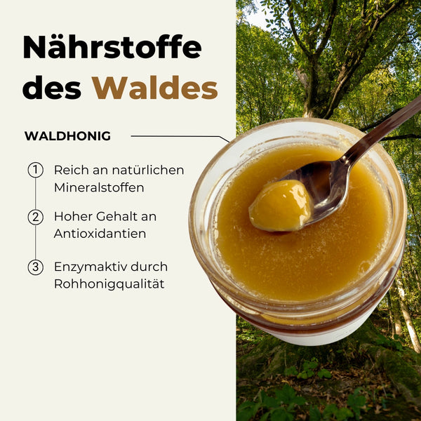 Schweizer Waldhonig in Rohhonig-Qualität 500g