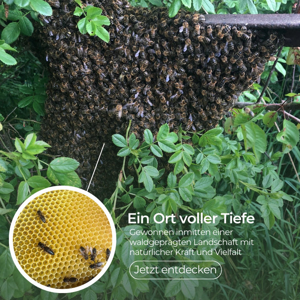 Schweizer Waldhonig in Rohhonig-Qualität 500g