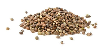 Bio Hanfsamen ungeschält aus der Schweiz – reich an Omega-3, Ballaststoffen und pflanzlichem Eiweiss, ideal für Küche und Microgreens