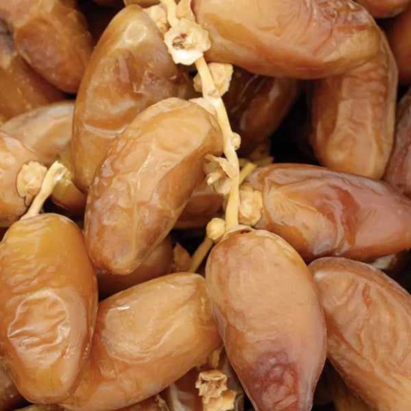 Datteln Bio "Deglet Nour" in Rohkostqualität