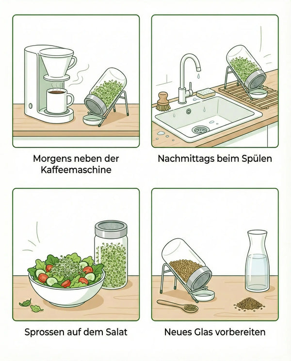 Pack de démarrage avec système