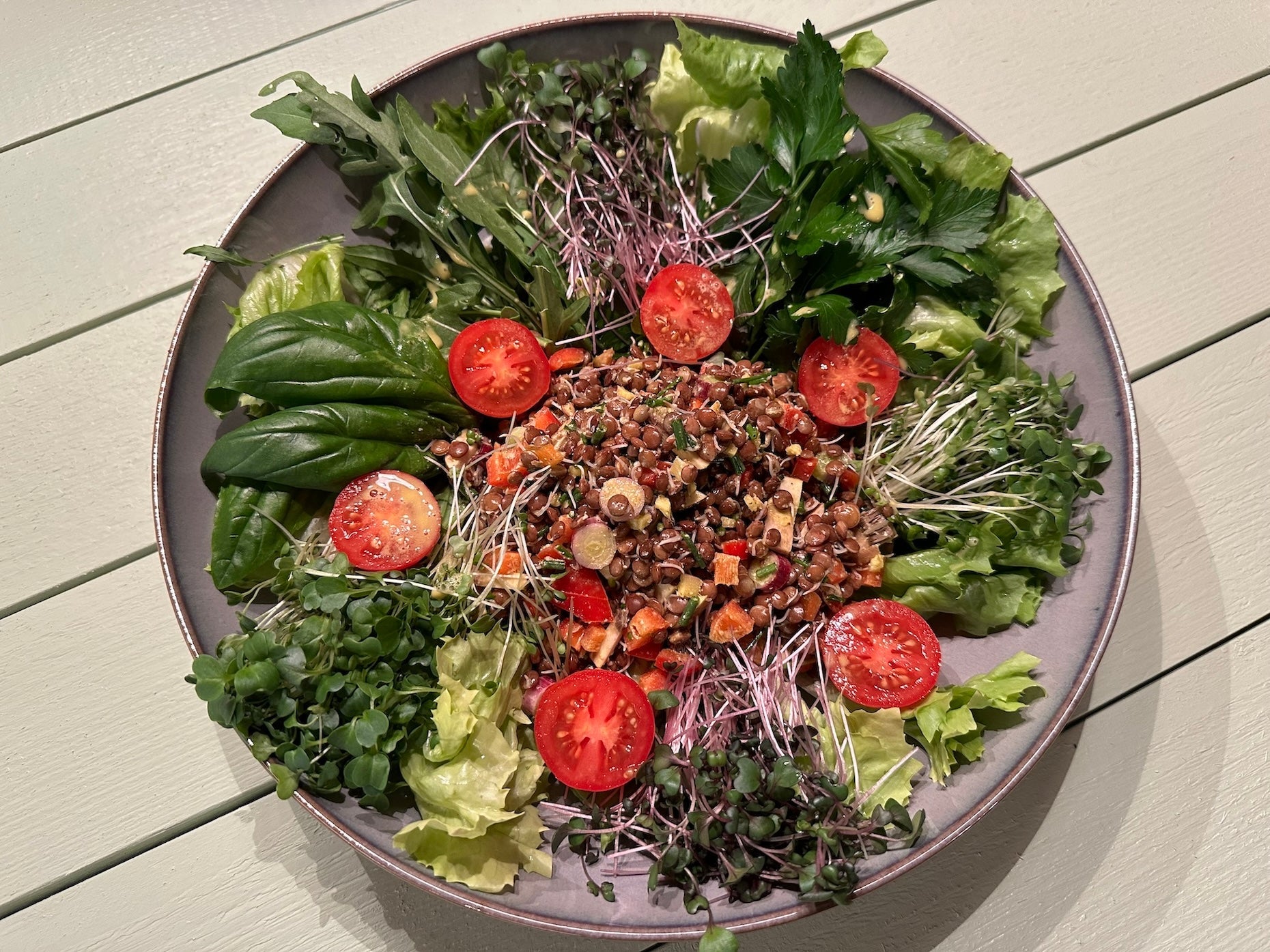 Linsen-Salat mit Beluga Linsen und grünen Linsen Sprossen