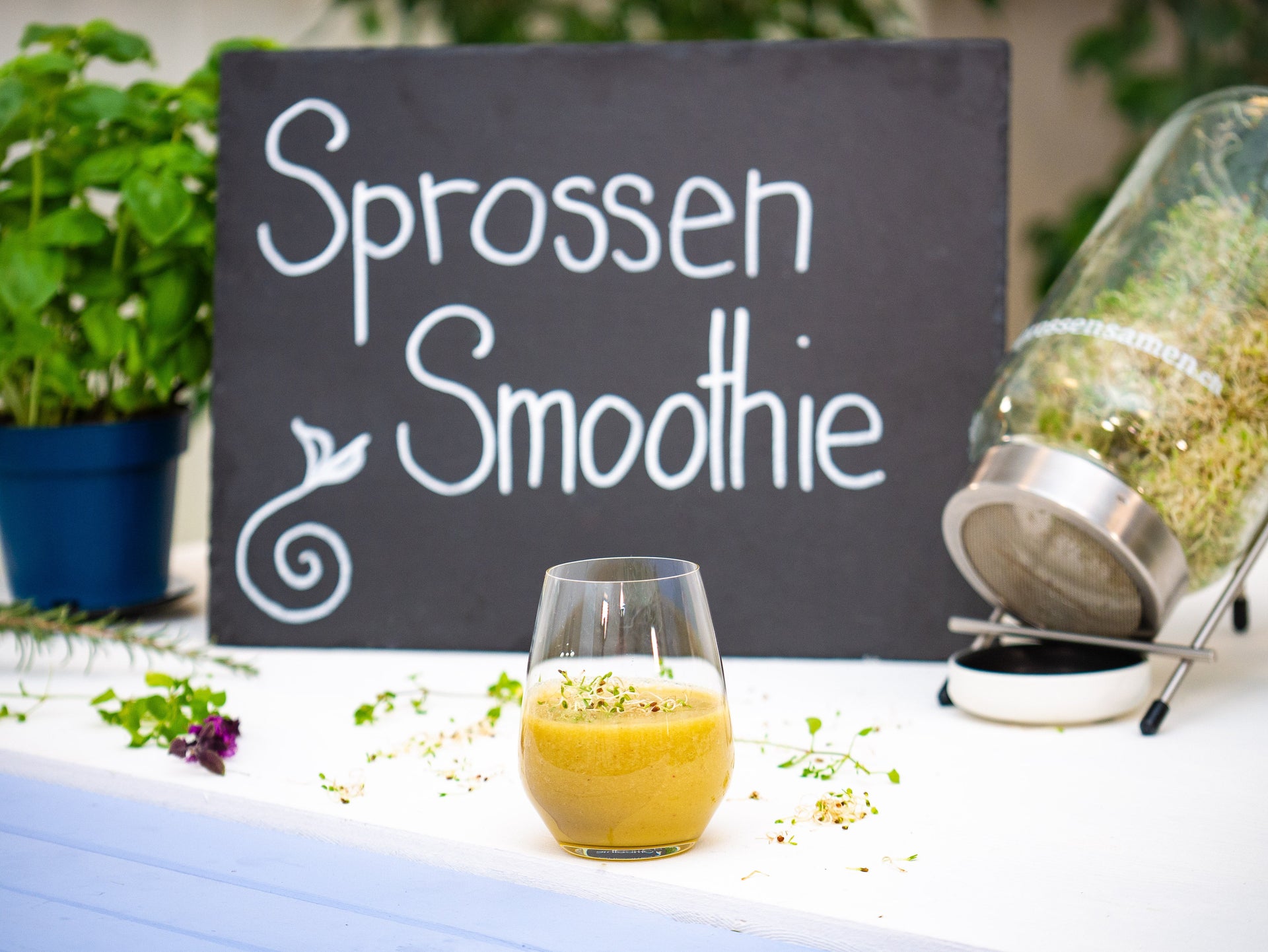 Sprossen Smoothie mit Smoothie-Mix Sprossen