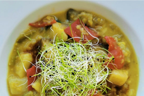 Pikantes Curry mit Lauch Sprossen