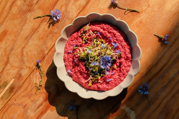 Rote Beete Hummus mit Kichererbsen-Sprossen