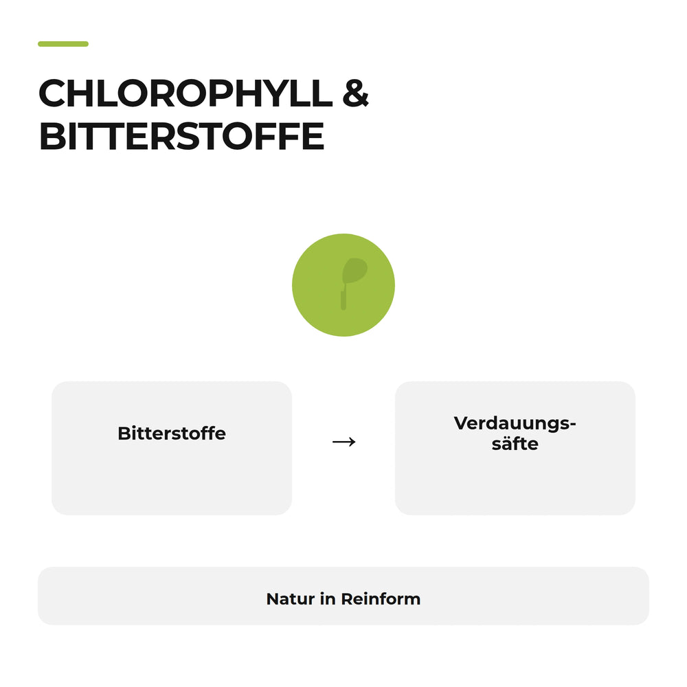 Verdauung anregen – Infografik Chlorophyll und Bitterstoffe