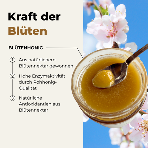 Die Vielfalt: Was Blütenhonig so besonders macht