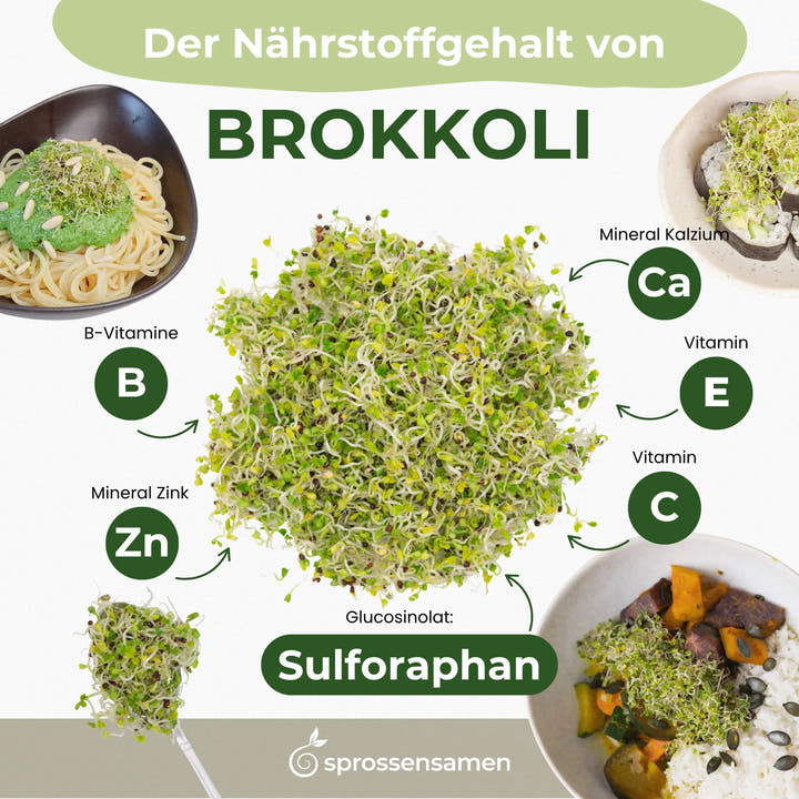 Deine tägliche Unterstützung für eine gesunde Leber