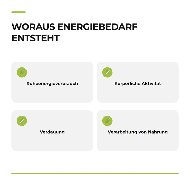 Page 32: Infografik „Woraus Energiebedarf entsteht“