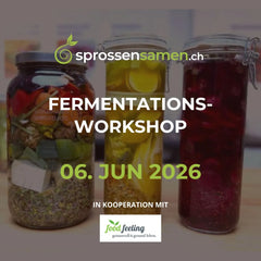 Fermentations-Workshop, Samstag, 6. Juni 2026