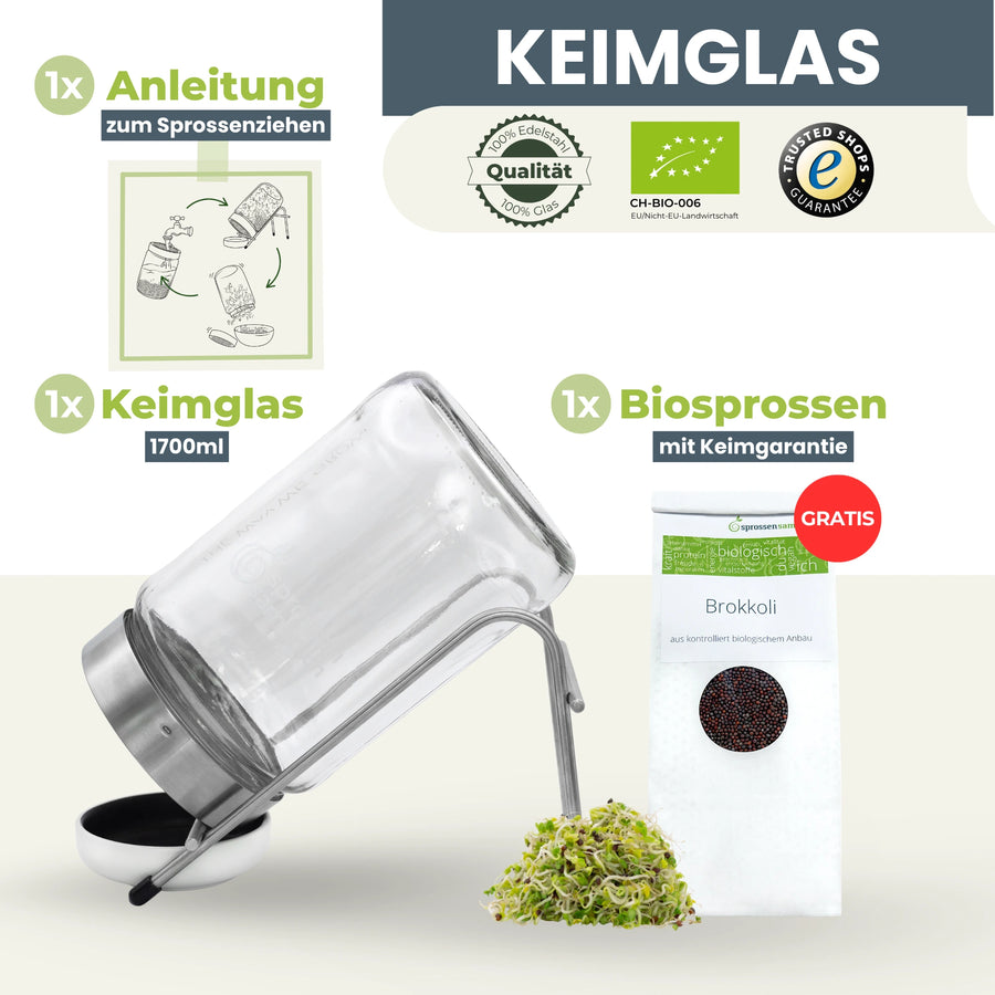 Bocal de germination Biosprosser 1700 ml en verre avec support