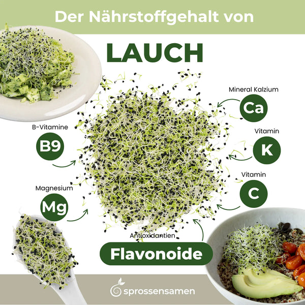 Germes de graines d'oignon/poireau biologiques