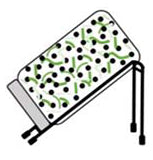 Sprossen-selber-ziehen-Schritt-5