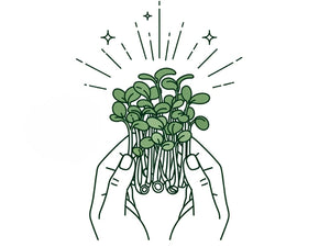 Sind Sonnenblumen Sprossen Gesund?