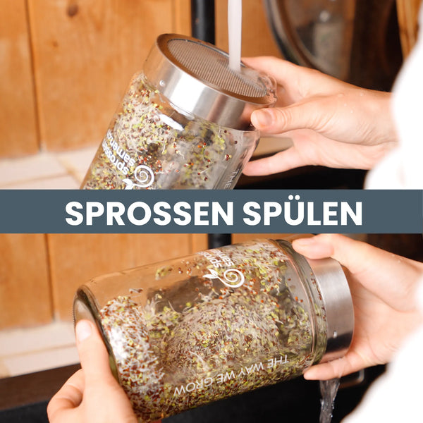 Pack de démarrage avec système