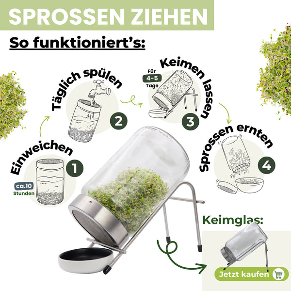 Brokkoli Sprossen Bio 250g