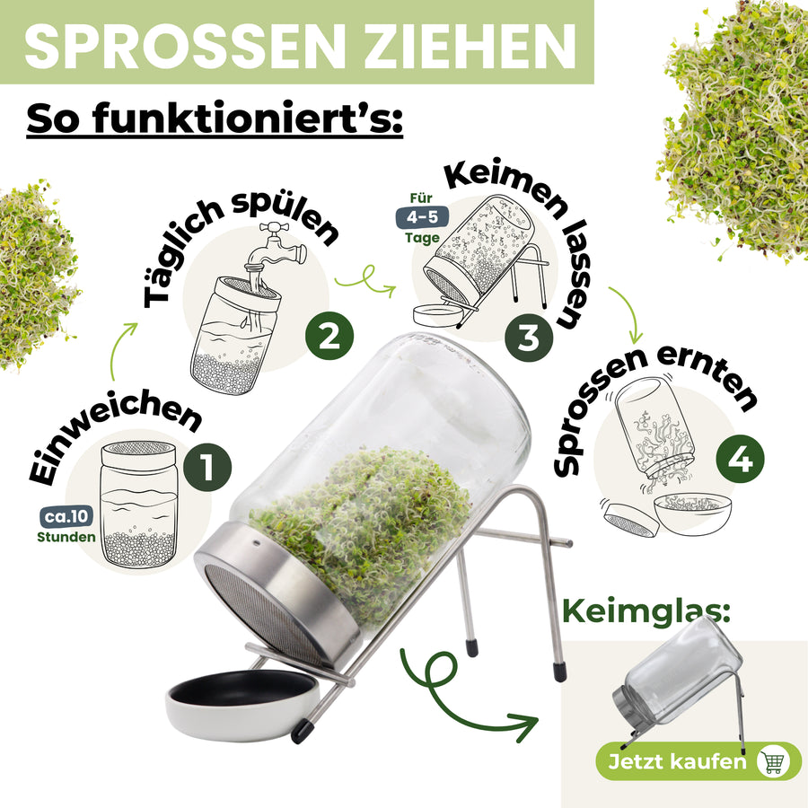 Starterpaket: The Way We Grow™ System