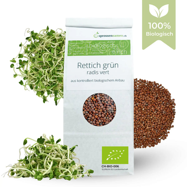 Rettich grün Bio Sprossensamen 250g