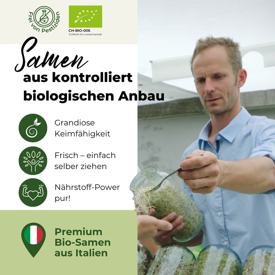 Graines germées de lentilles de montagne biologiques 500 g