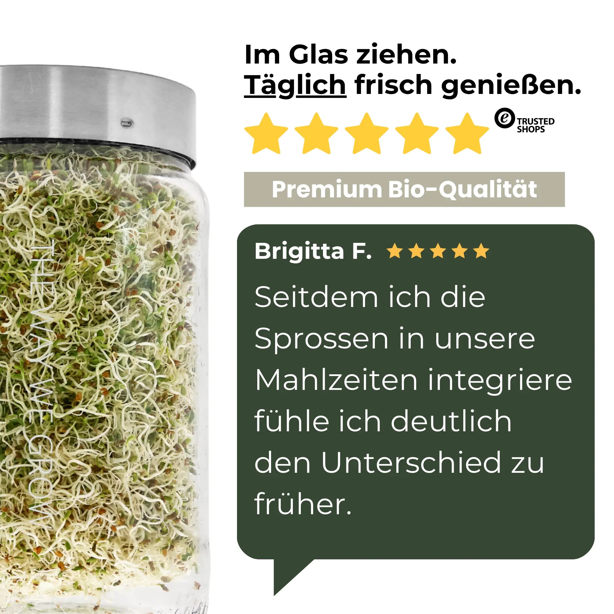 Bio Alfalfa Sprossensamen & Microgreens – Sprossen selber ziehen – sprossensamen