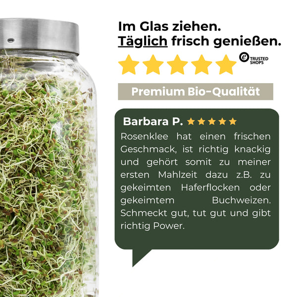 Germes de trèfle rose bio 250 g