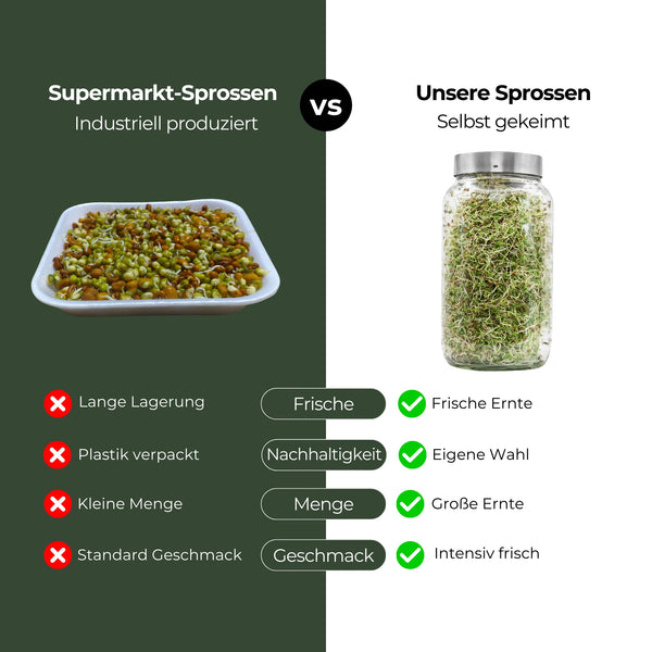 Germes de trèfle rose bio 250 g