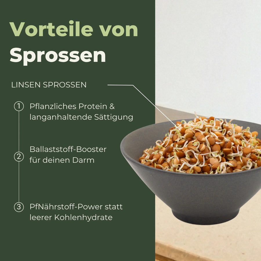 Graines germées de lentilles de montagne biologiques 500 g