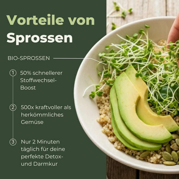 Pack de démarrage avec système