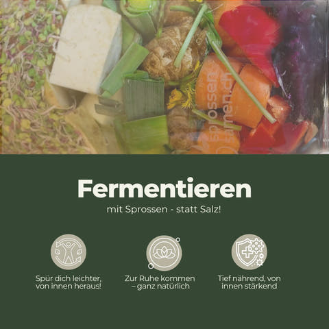Die Lösung: Natürlich fermentieren mit Sprossen