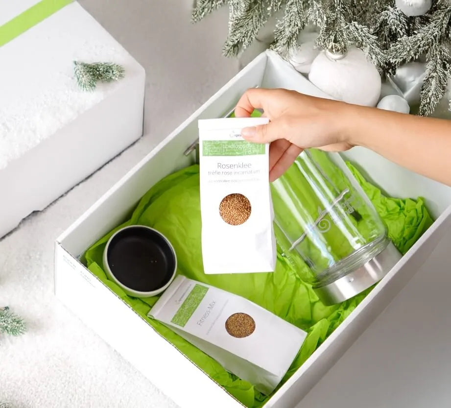 Weihnachts Geschenk Box