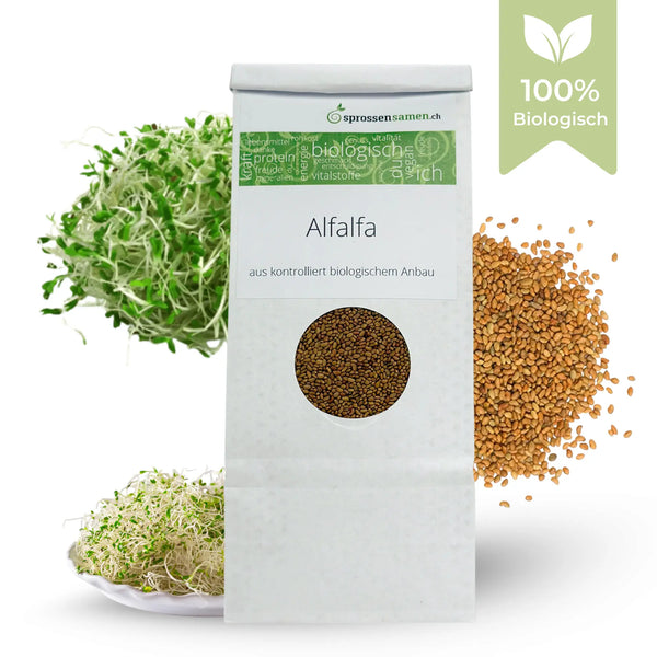 Alfalfa / Luzerne Bio 250g graines à germer