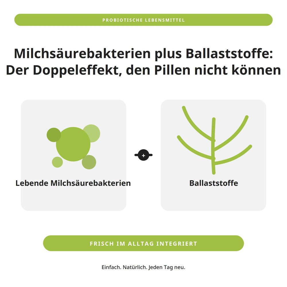 Infografik: Milchsäurebakterien plus Ballaststoffe