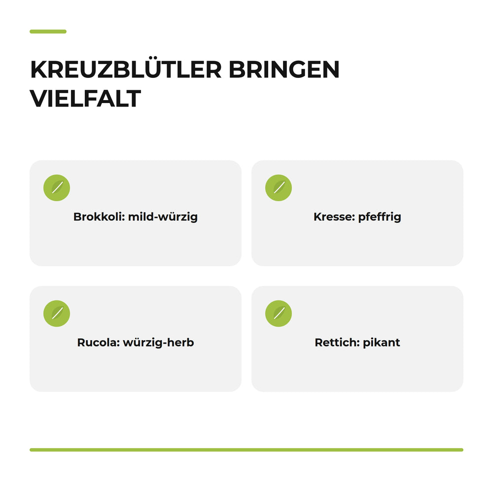Page 28: Infografik „Kreuzblütler bringen Vielfalt“