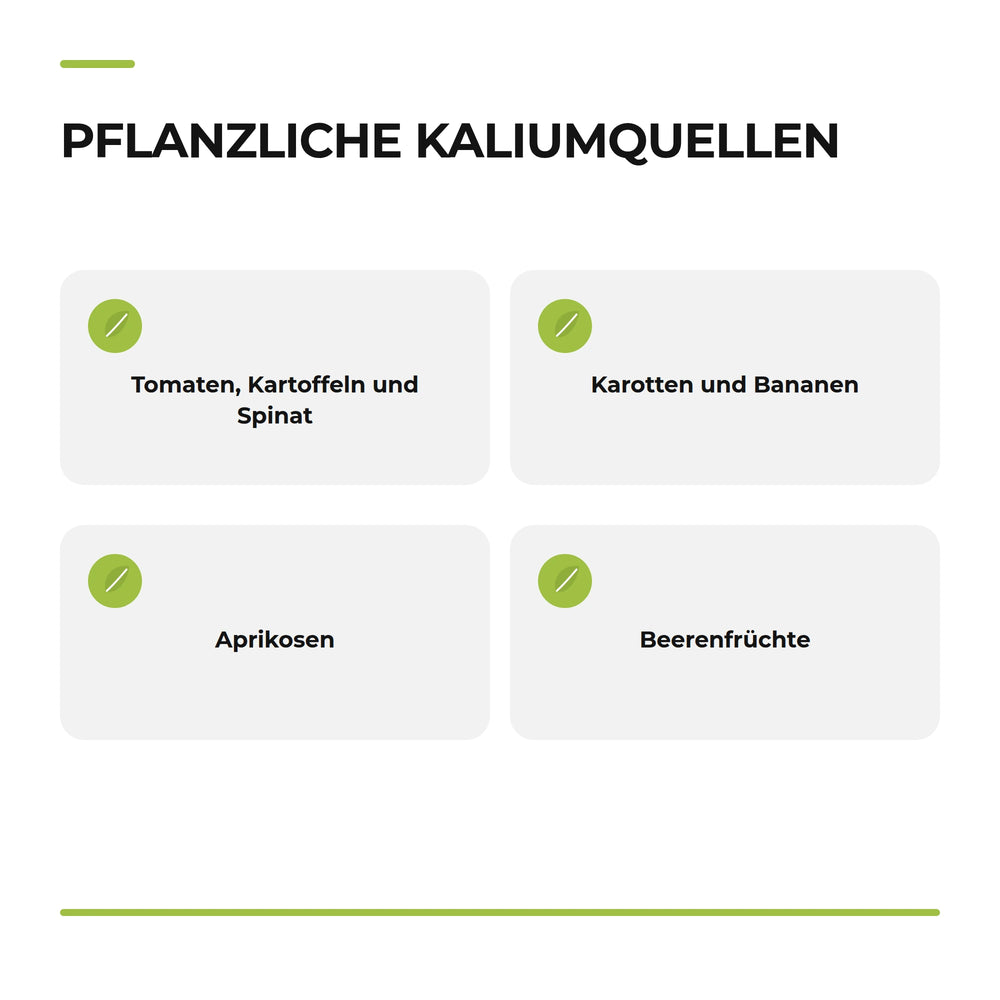 Page 31: Infografik „Pflanzliche Kaliumquellen“