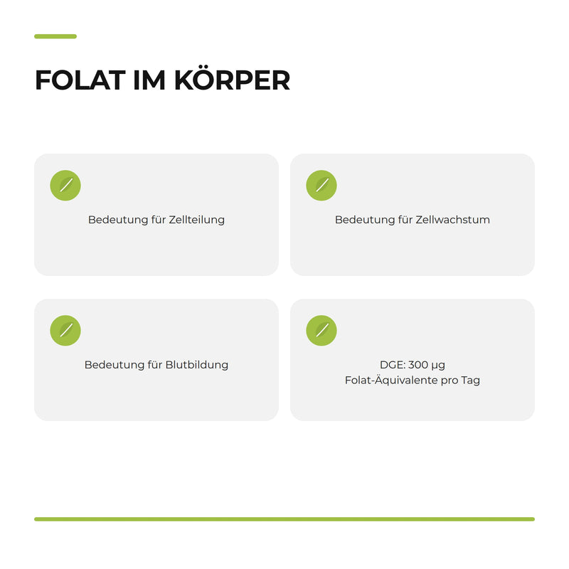 Page 29: Infografik „Folat im Körper“